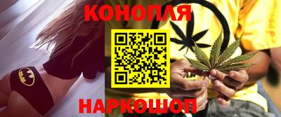 индика Моздок