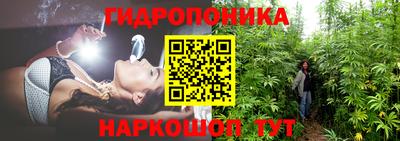 гидропоника Можга