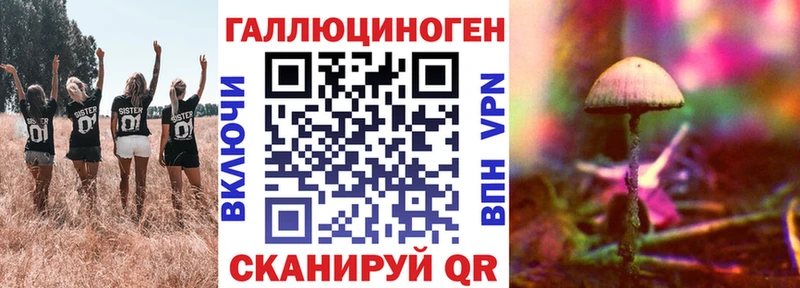 наркошоп  Ковров  Псилоцибиновые грибы Psilocybe 