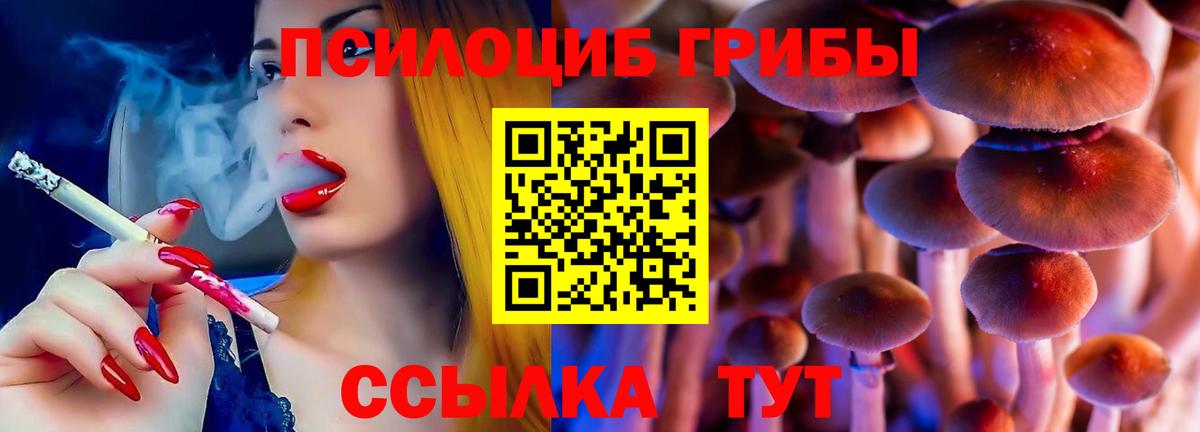Псилоцибиновые грибы ЛСД Ковров